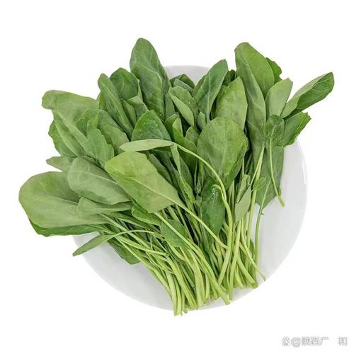 陕西广昇和商贸是一家蔬菜等农副产品,加工,配送于一体的化