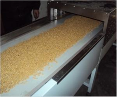 重庆大麦微波熟化烘焙设备杂粮五谷微波加工机械设备、